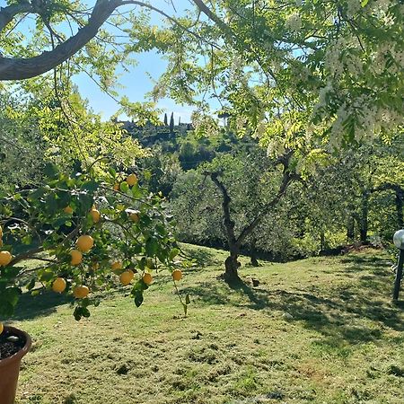 Le Massucce San Casciano in Val di Pesa Bagian luar foto
