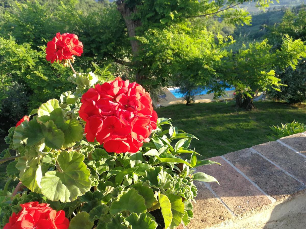 Le Massucce San Casciano in Val di Pesa Bagian luar foto