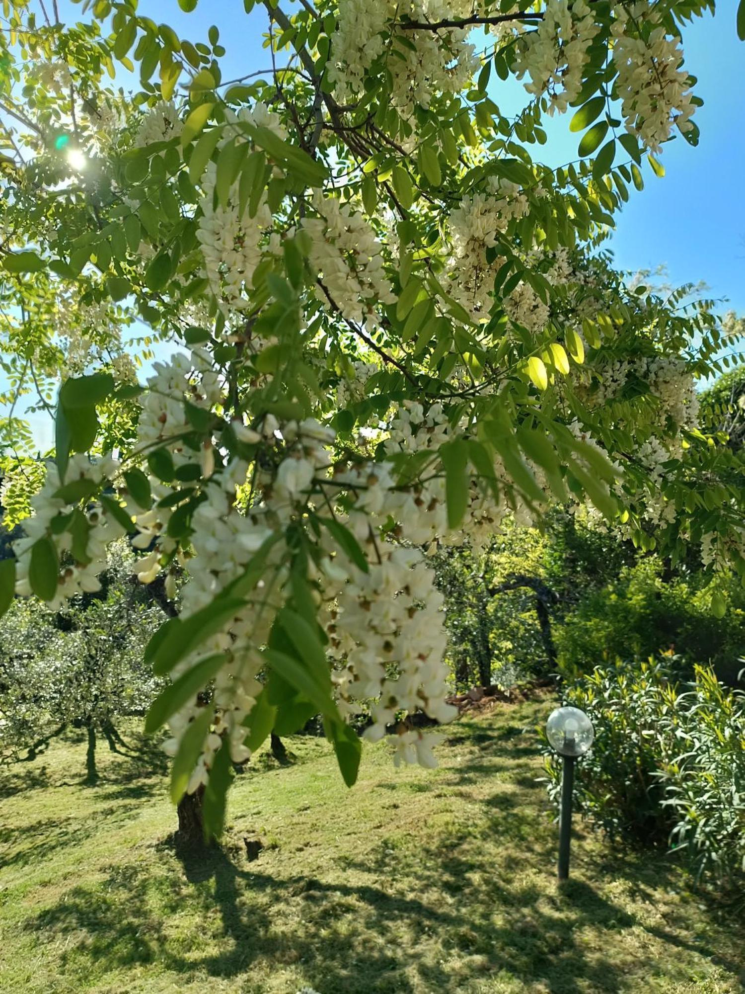 Le Massucce San Casciano in Val di Pesa Bagian luar foto