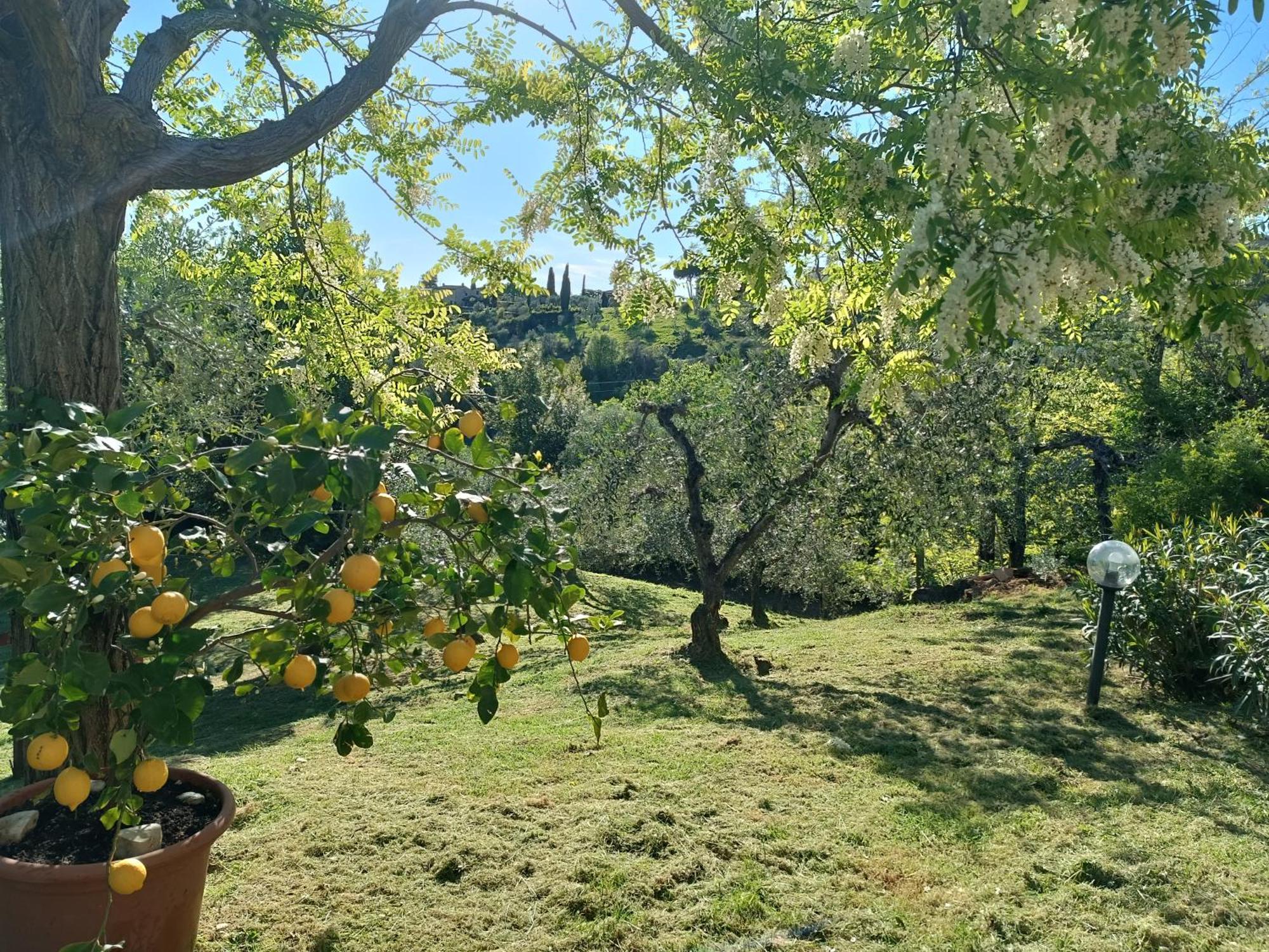 Le Massucce San Casciano in Val di Pesa Bagian luar foto