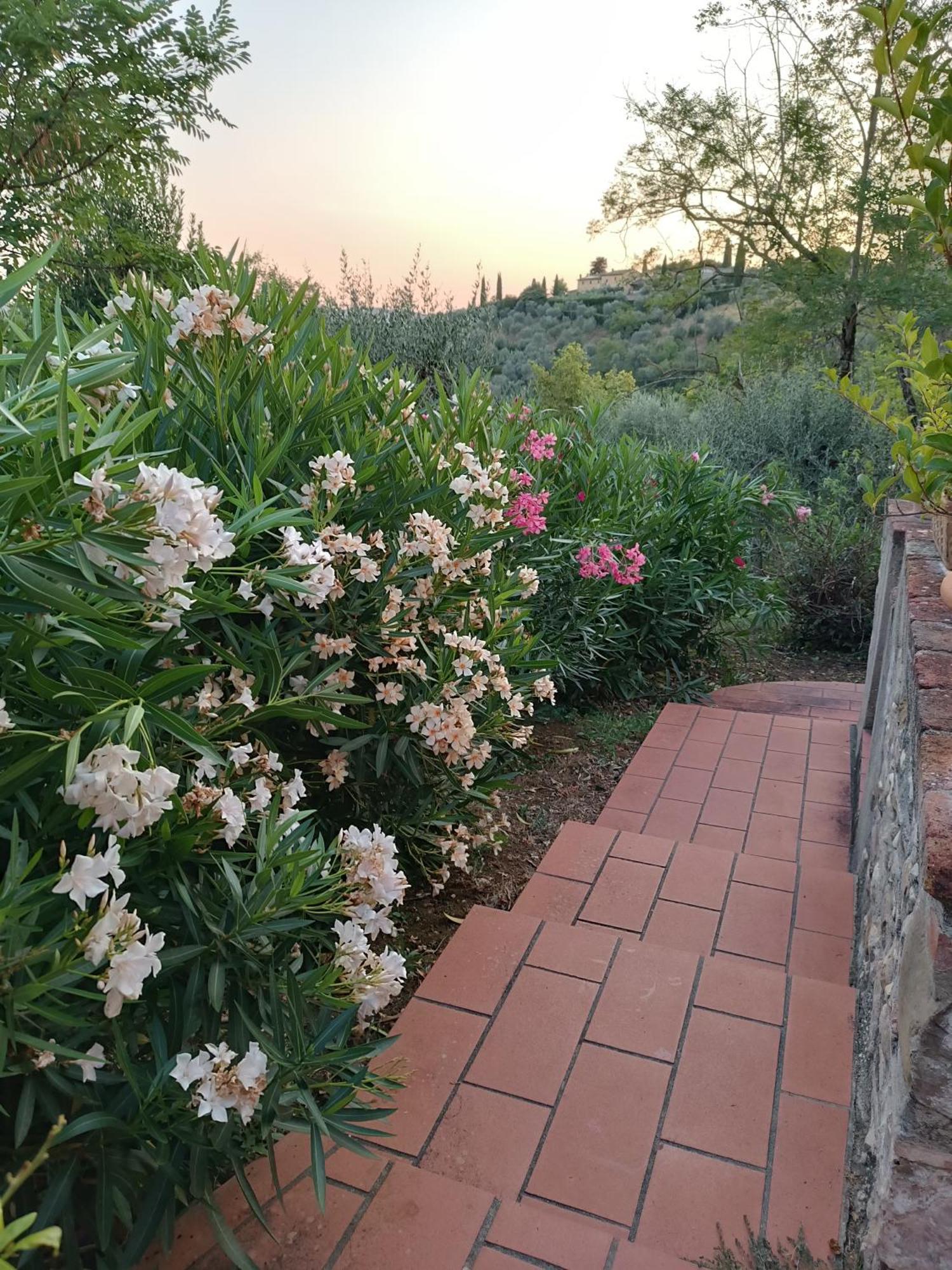Le Massucce San Casciano in Val di Pesa Bagian luar foto