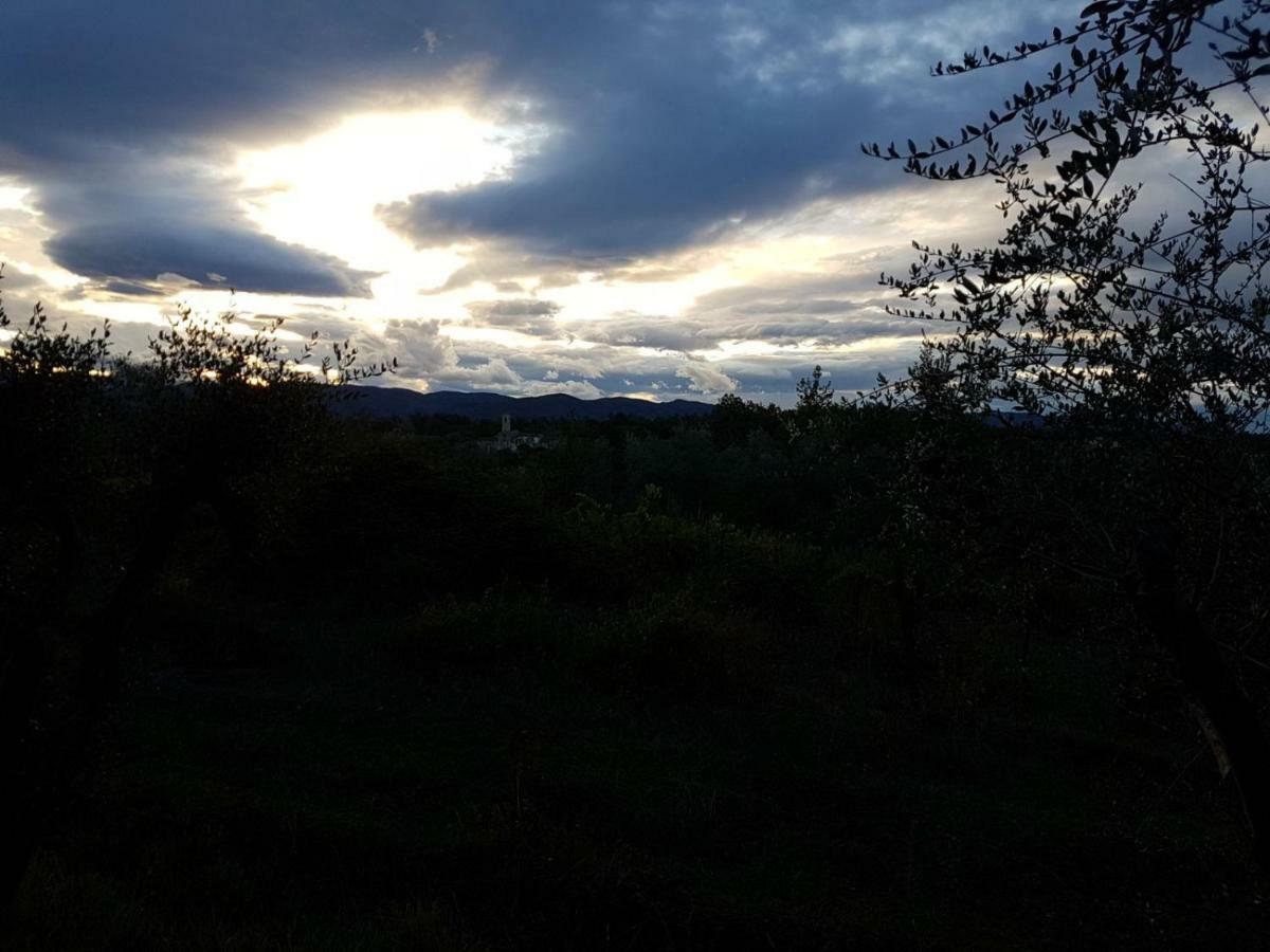 Le Massucce San Casciano in Val di Pesa Bagian luar foto
