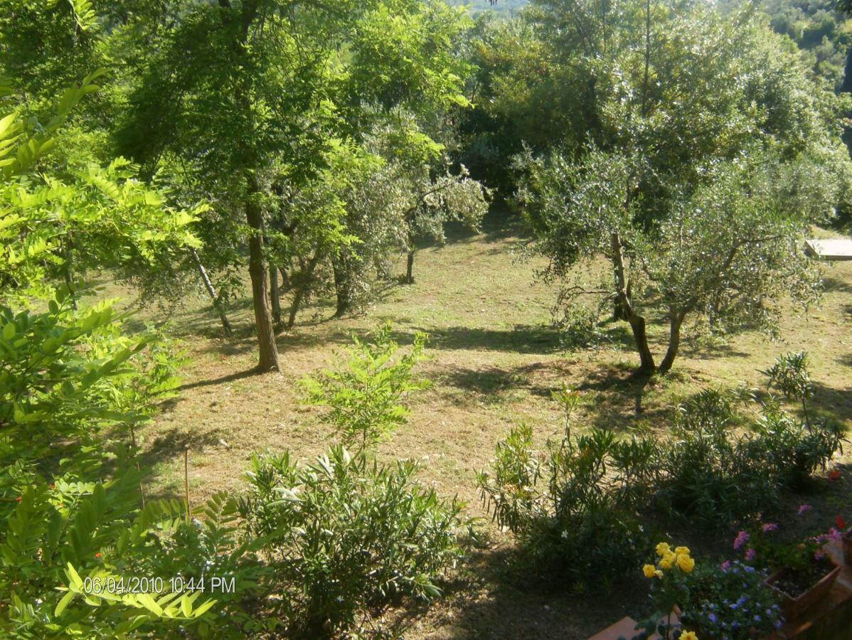 Le Massucce San Casciano in Val di Pesa Bagian luar foto