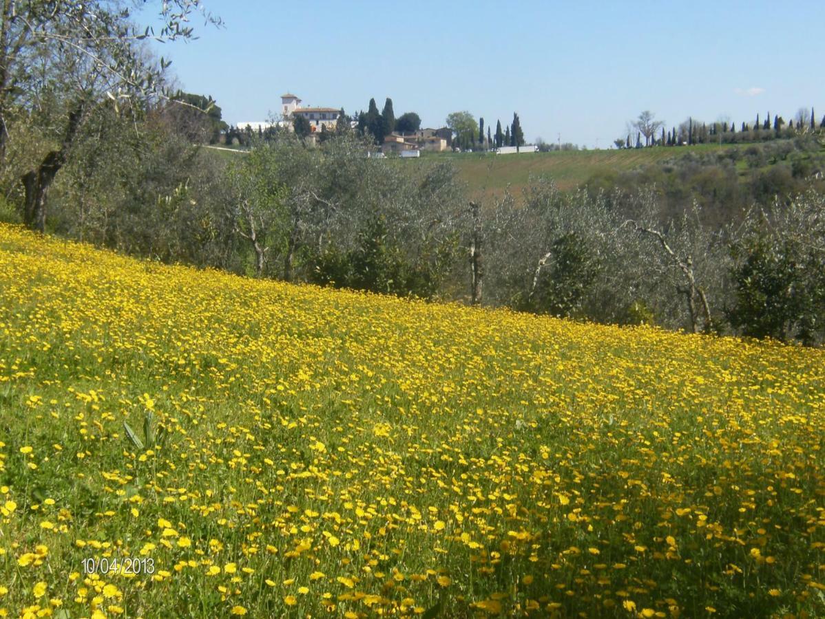 Le Massucce San Casciano in Val di Pesa Bagian luar foto