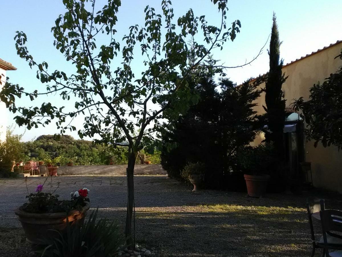 Le Massucce San Casciano in Val di Pesa Bagian luar foto