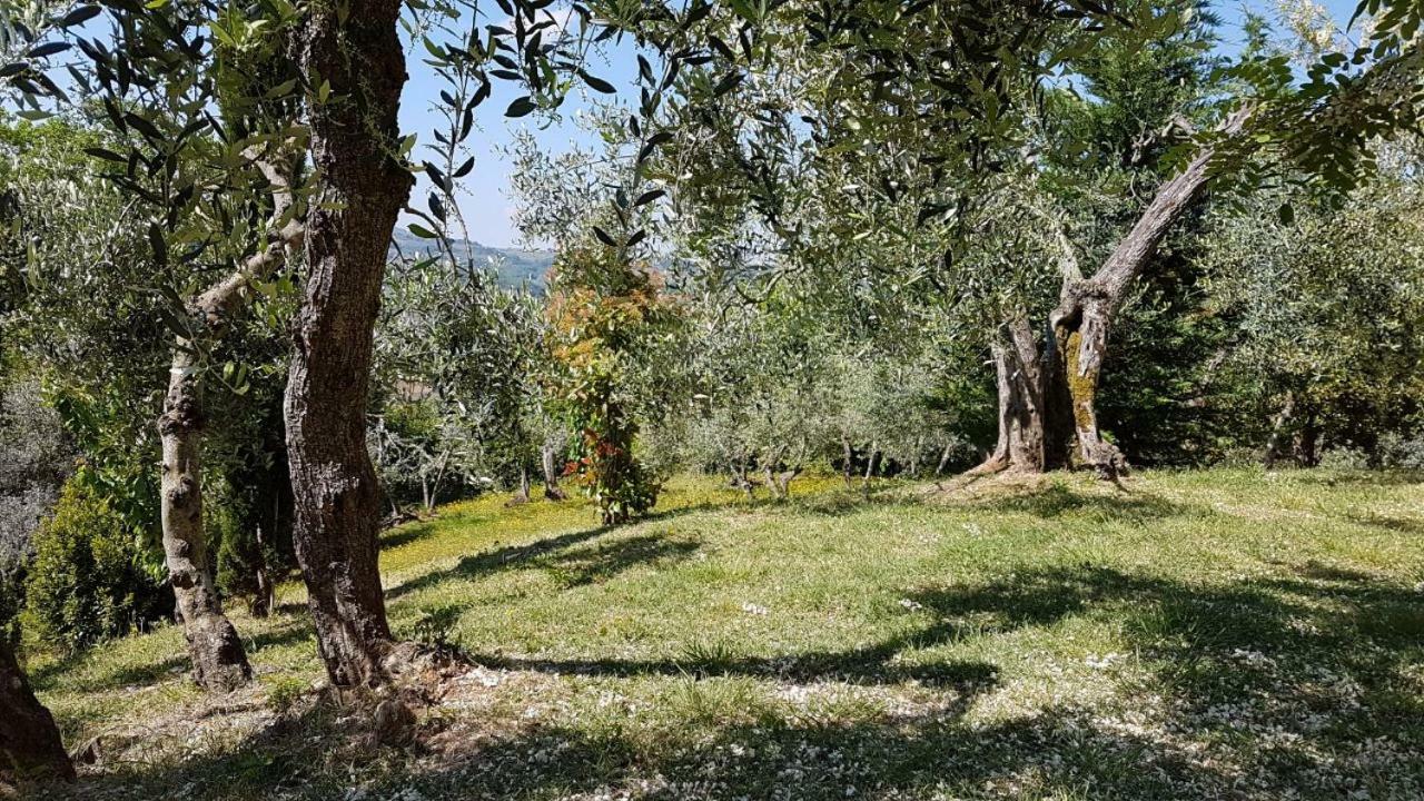Le Massucce San Casciano in Val di Pesa Bagian luar foto