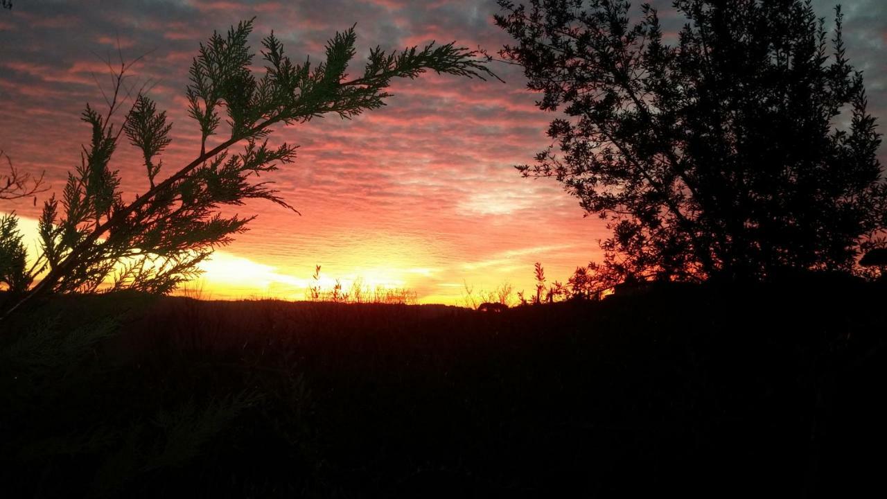 Le Massucce San Casciano in Val di Pesa Bagian luar foto