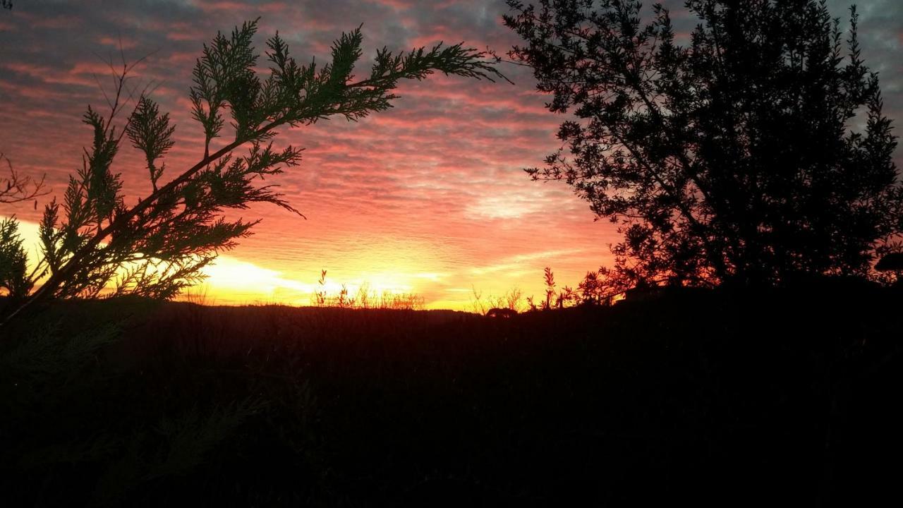 Le Massucce Villa San Casciano in Val di Pesa Bagian luar foto